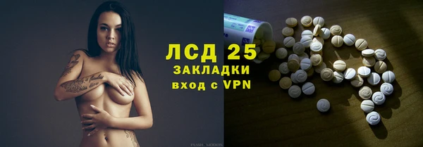 тгк Алзамай
