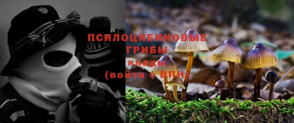прущие крисы Алексеевка