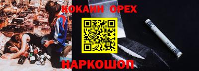 сатива Новозыбков
