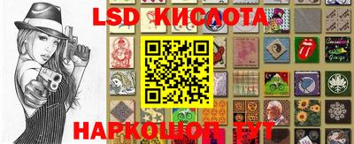 сатива Новозыбков