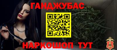 сатива Новозыбков
