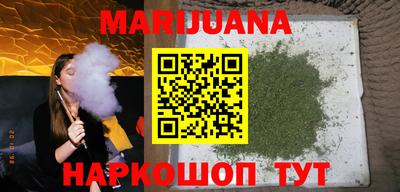 сатива Новозыбков