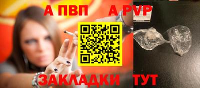 сатива Новозыбков