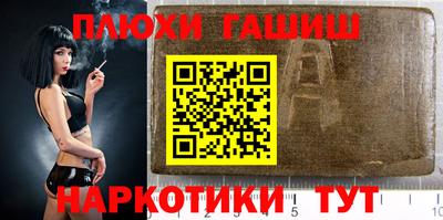 сатива Новозыбков