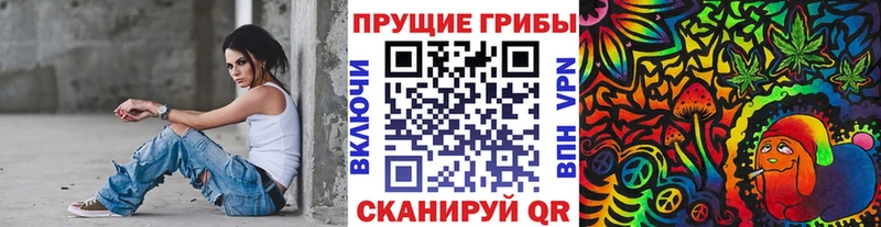 Псилоцибиновые грибы прущие грибы  Тосно 