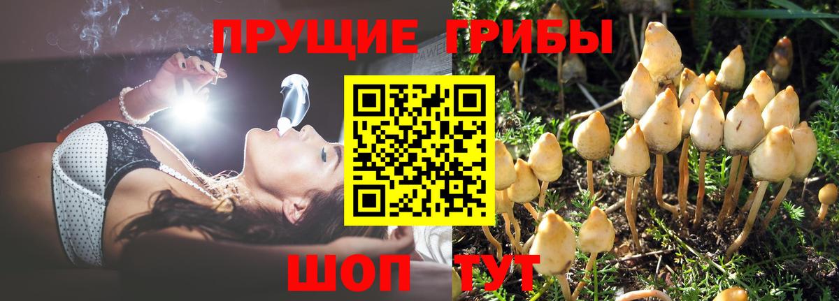 Галлюциногенные грибы Cubensis  Псилоцибиновые грибы мухоморы  Тосно  Вход с VPN 