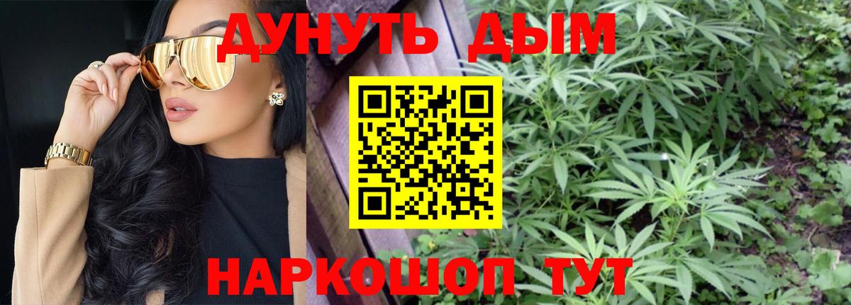Марихуана Bruce Banner Тосно